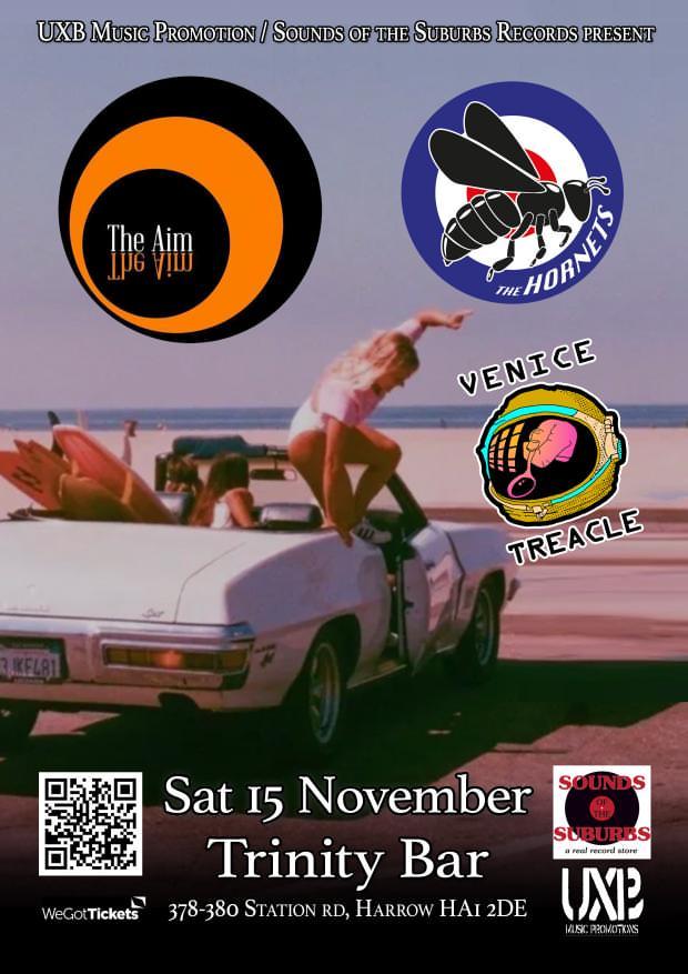 Venice Treacle live at Trinity Bar, Harrow